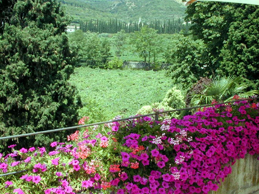 B&B Villa Monteleone SantʼAmbrogio di Valpolicella Dış mekan fotoğraf