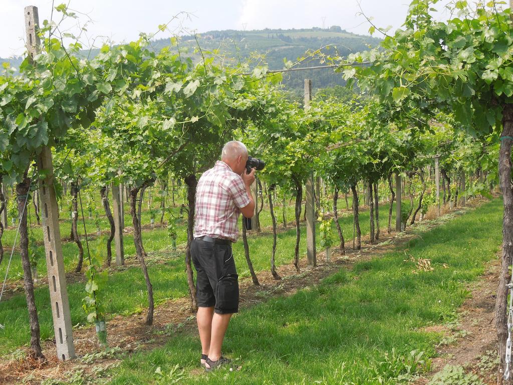 B&B Villa Monteleone SantʼAmbrogio di Valpolicella Dış mekan fotoğraf